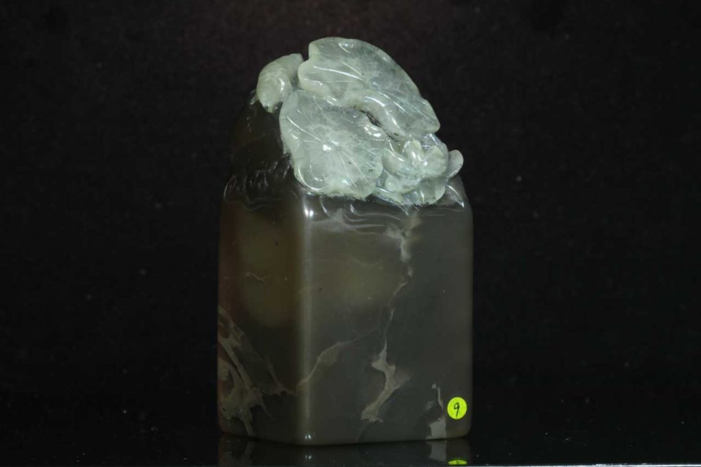 巧色水坑牛角荷鈕